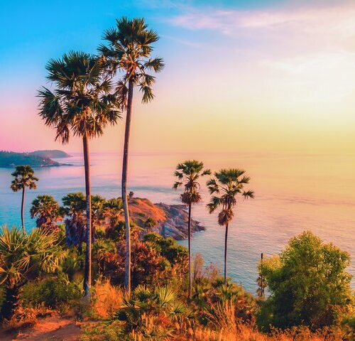 26 Phuket Fantasea Show + dinner ( Transfer +400)